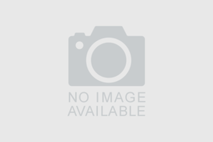 菅さんの総裁選不出馬をうけての判断のご報告