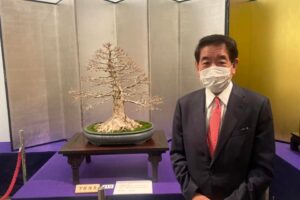 国風盆栽展@東京都美術館