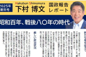 新しい国政報告レポートを作成しました