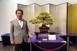 国風盆栽展、東京都美術館で開催