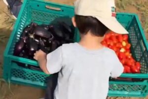 「農園の家族食堂」に参加しました