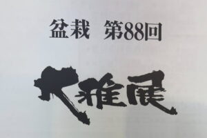 盆栽 第88回 大雅展