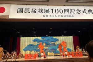 日本盆栽協会 国風盆栽展100回記念式典開催