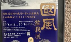 国風盆栽展に天皇皇后両陛下と愛子内親王殿下が行幸啓にお出ましいただきました